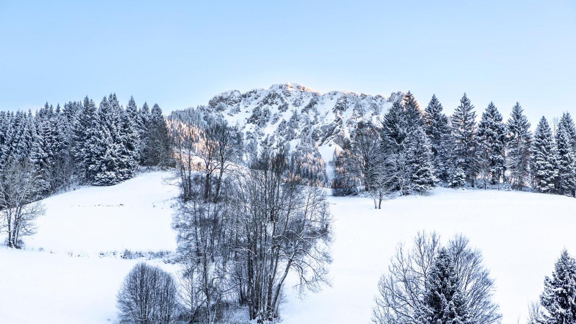 Schrofen Chalets Βίλα Γιούνγκχολτς Εξωτερικό φωτογραφία